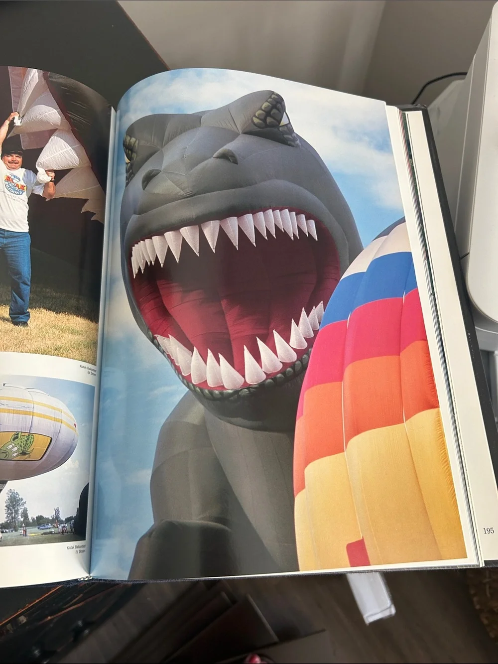 The Great Balloon Festival Hardcover Coffee Table Book - REMAX focused